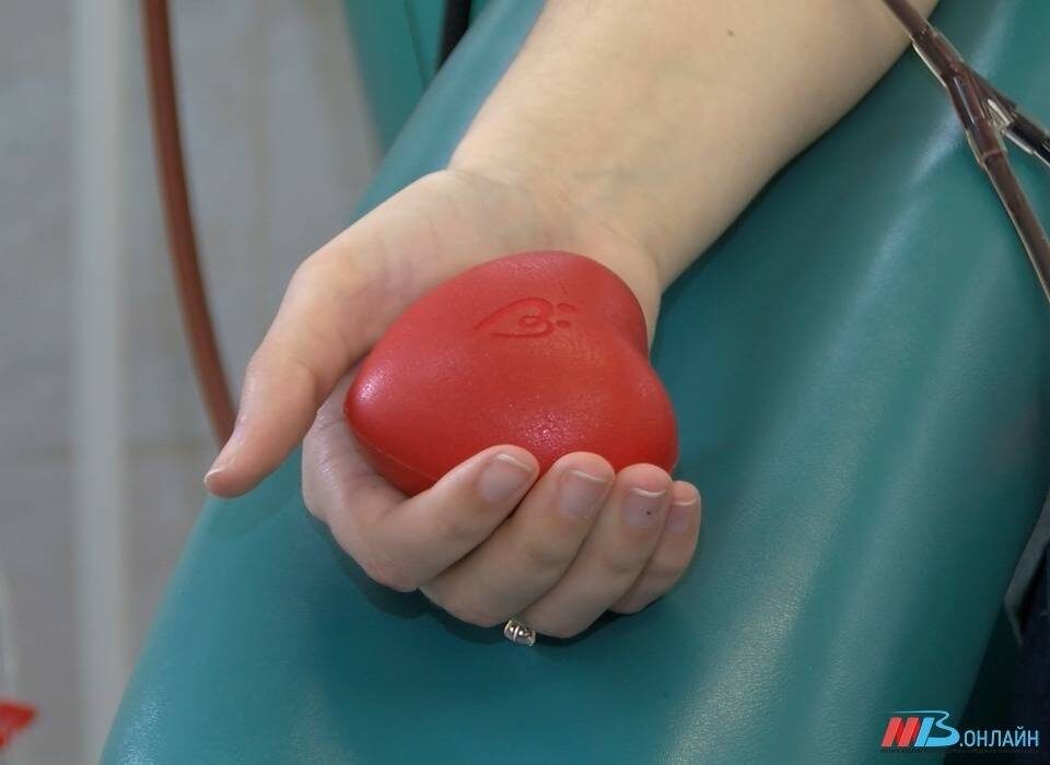    ФОТО: МТВ.ОНЛАЙН