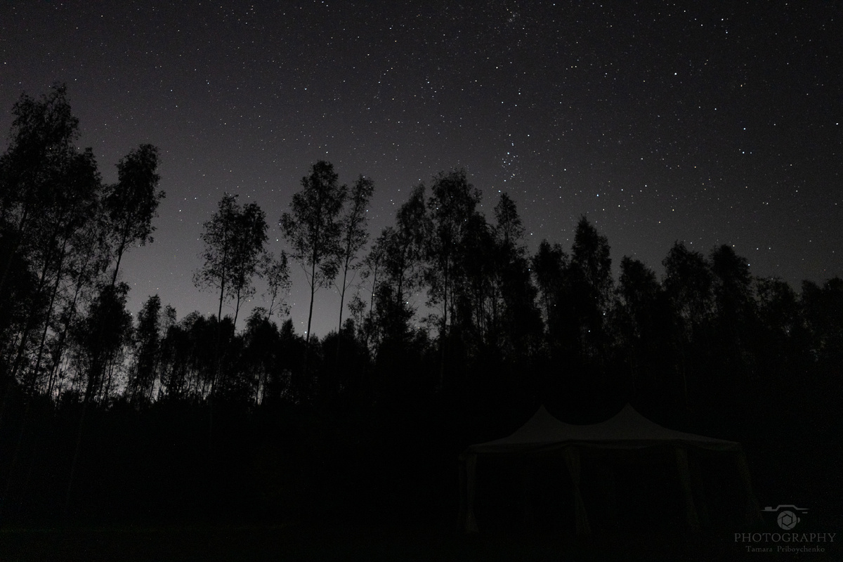 Звездное небо.Фотограф Тамара Прибойченко.