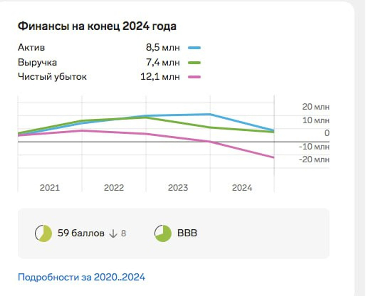    Фото: Скриншот сайта checko.ru