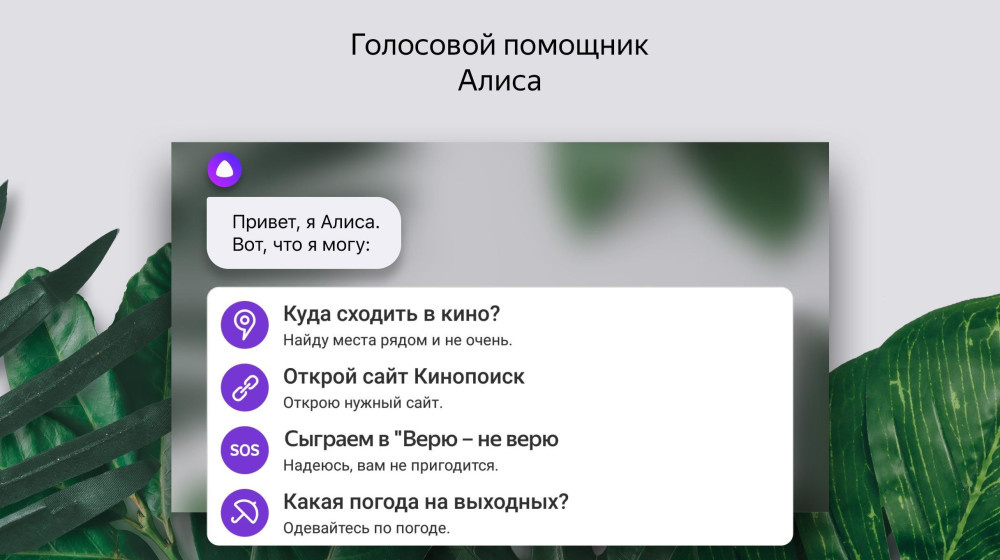    Как Алиса начала ругаться матом и почему вы тоже сможете