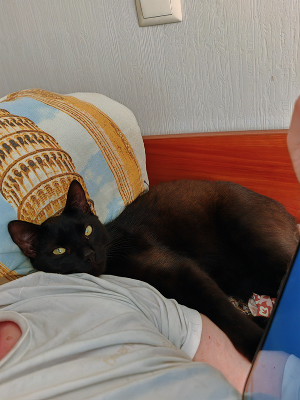 Уголек прикорнул на плече  у папы и изображает воплощение невинности