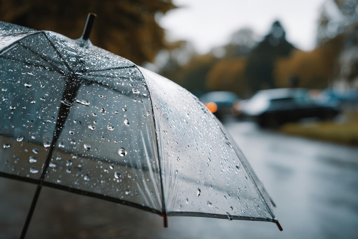    Дождь 123RF/legion-media.ru