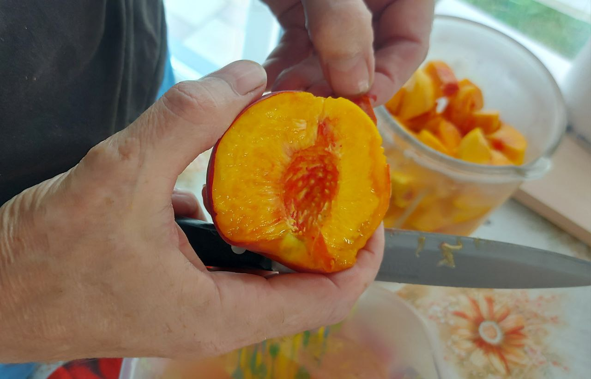 Фото автора.