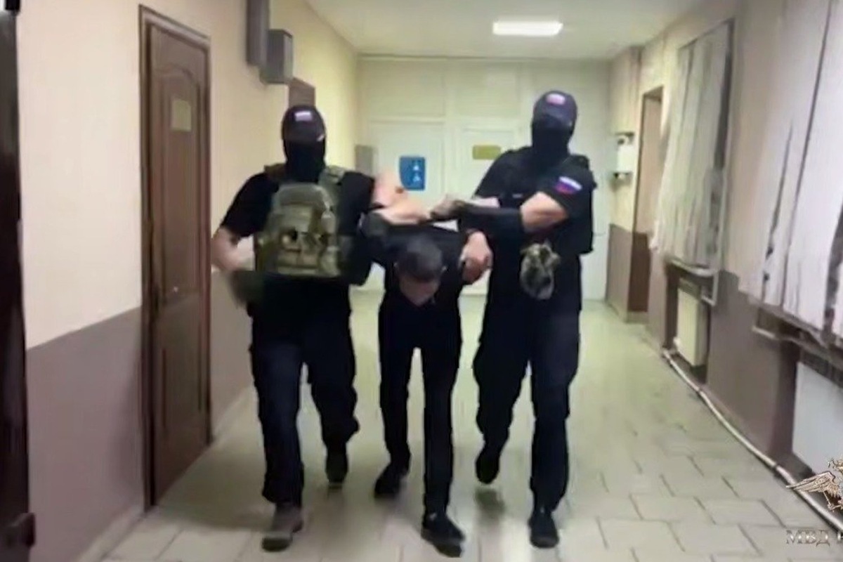   скриншот видео с канала Ирины Волк