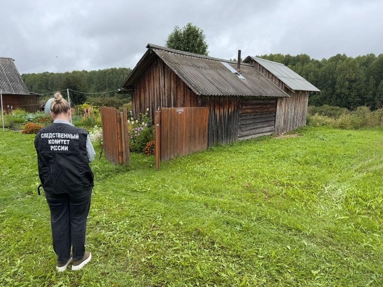     Фото: СУ СК России по Архангельской области и НАО