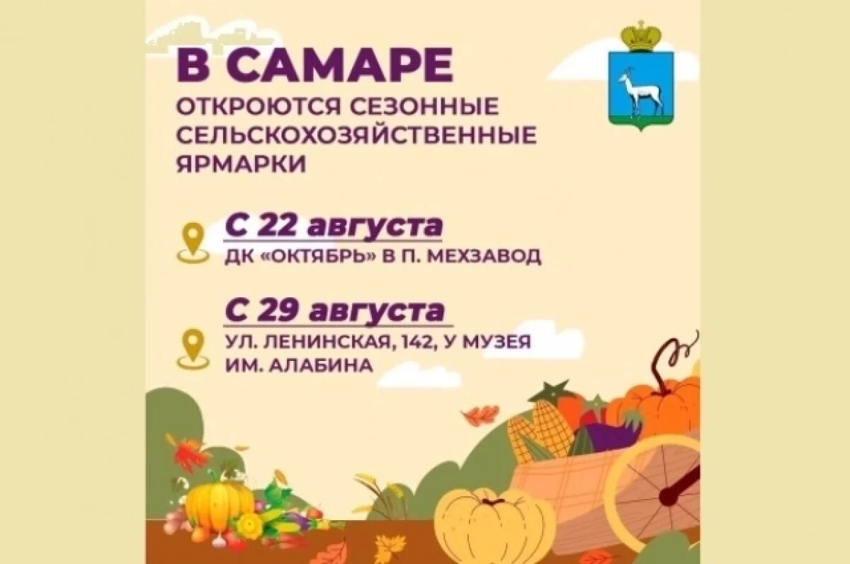    В Самаре перенесли срок открытия сельхозярмарки у музея Алабина