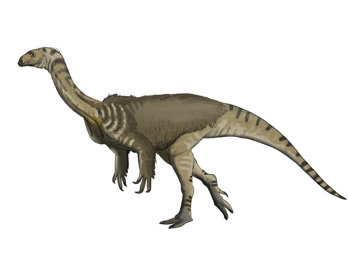Эфраасия, реставрация прижизненного облика.