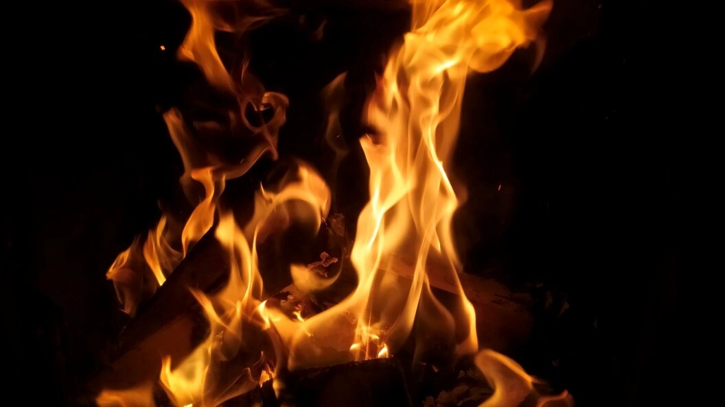    Фото: Maksim Konstantinov/Global Look Press