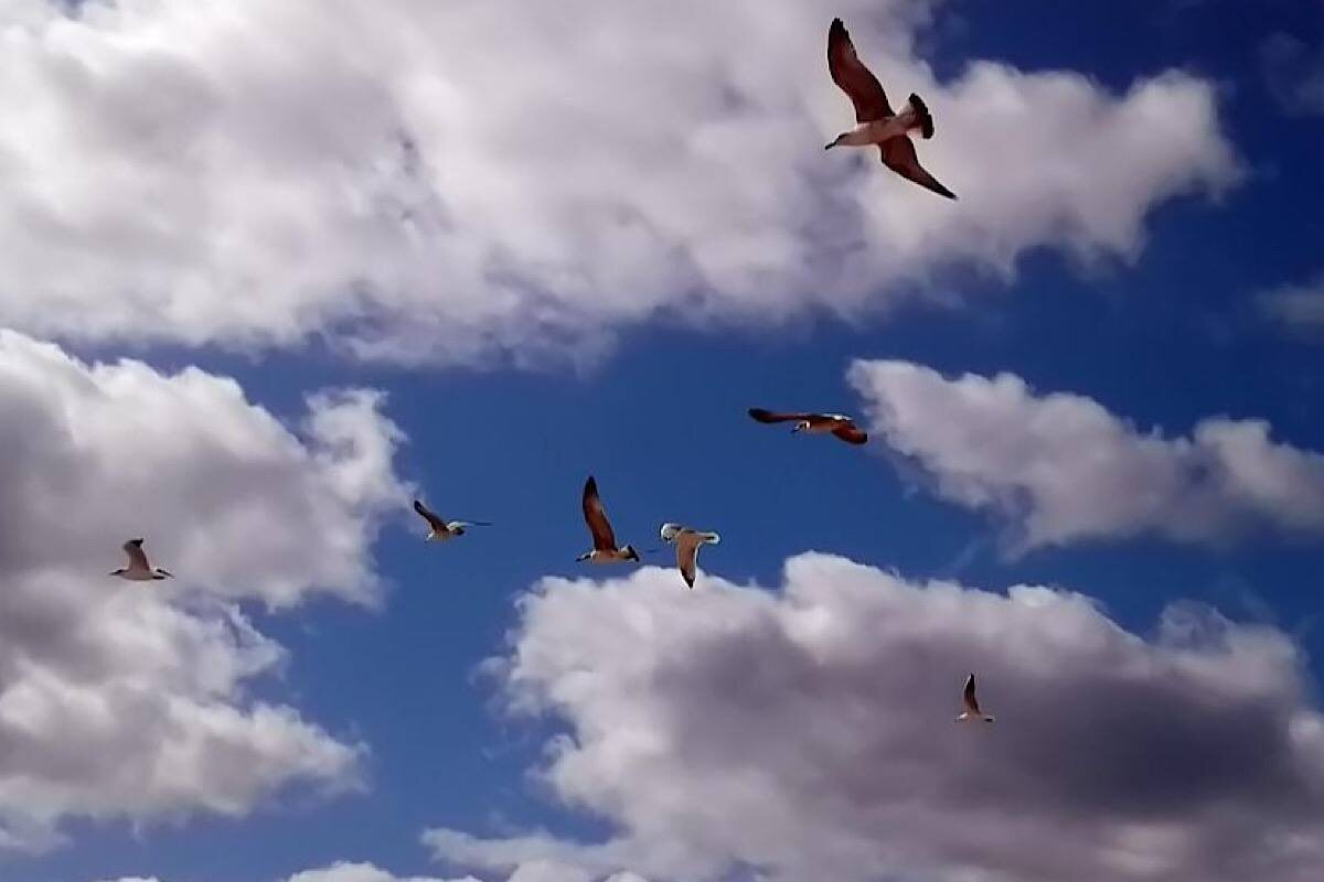    Фото: Инфо РМ, источник: info-rm.com