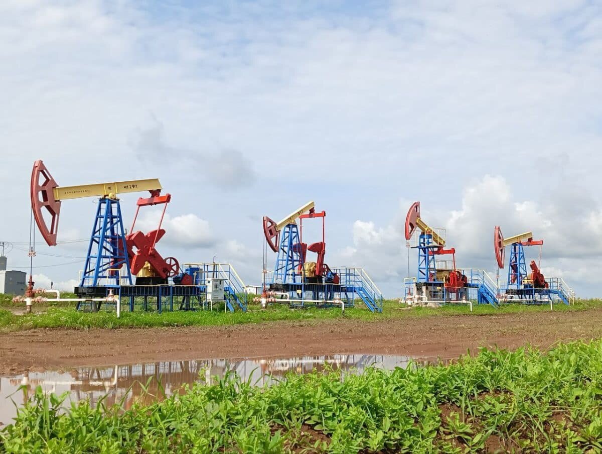 Модель ТюмГУ помогла предсказать рост опасных трещин в пласте при нефтедобыче / © Ольга Чиркова, пресс-служба ТюмГУ📷
