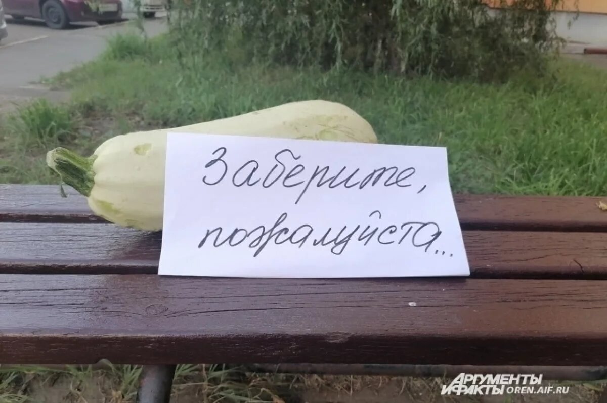    Главная проблема конца лета и начала августа — «сбагрить кабачки, когда они вырастут».