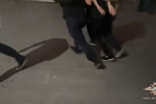     Ирина Волк/Telegram