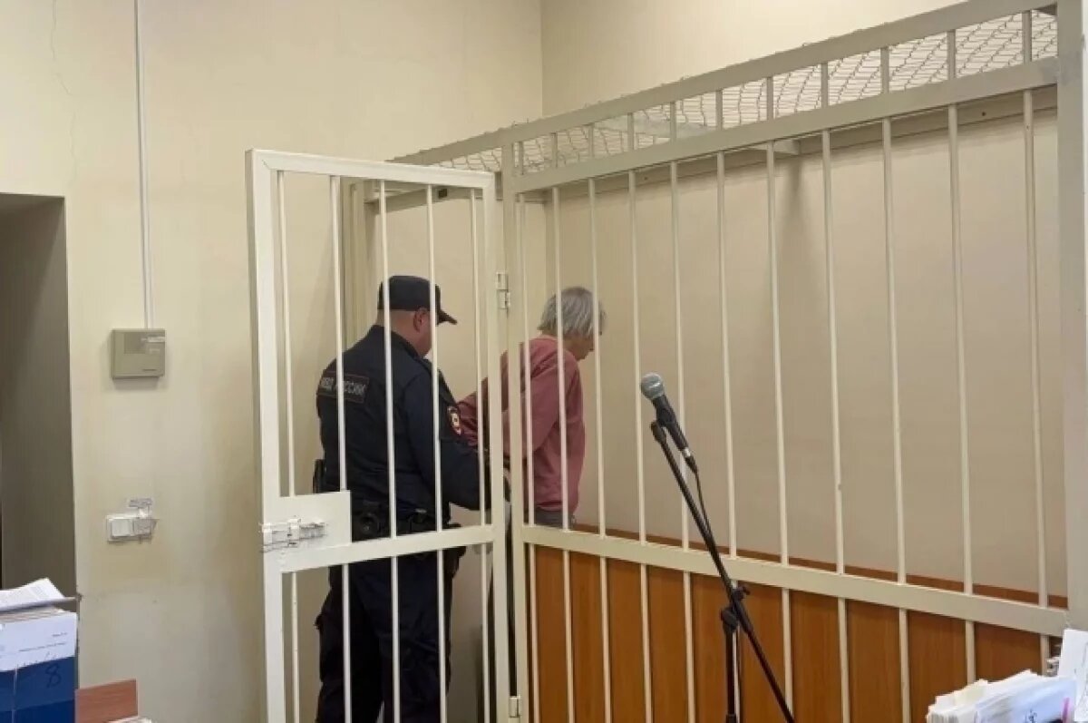    Суд отправил в СИЗО обвиняемого в убийстве женщины на Демьяна Бедного