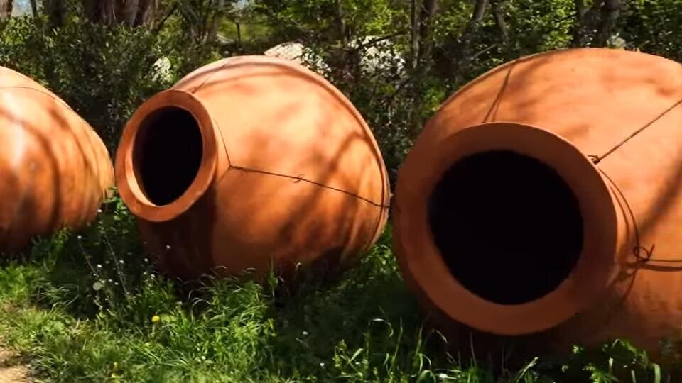 Фото: © Кадр из программы "Невероятно интересные истории", РЕН ТВ