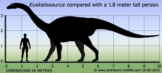Эускелозавр по сравнению с человеком. 