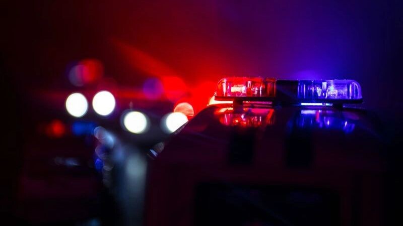    Фото: zef art/Shutterstock/Fotodom