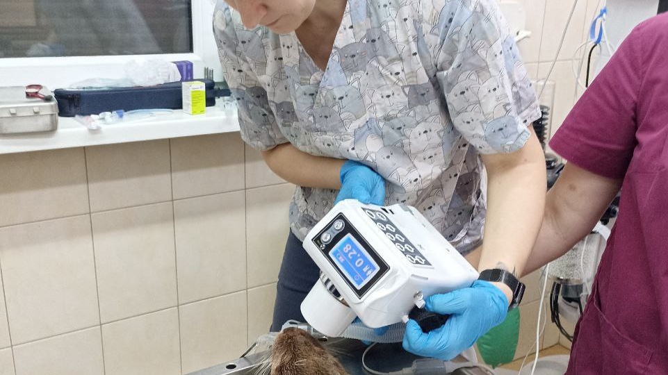 А Марек ничего и не заметил!