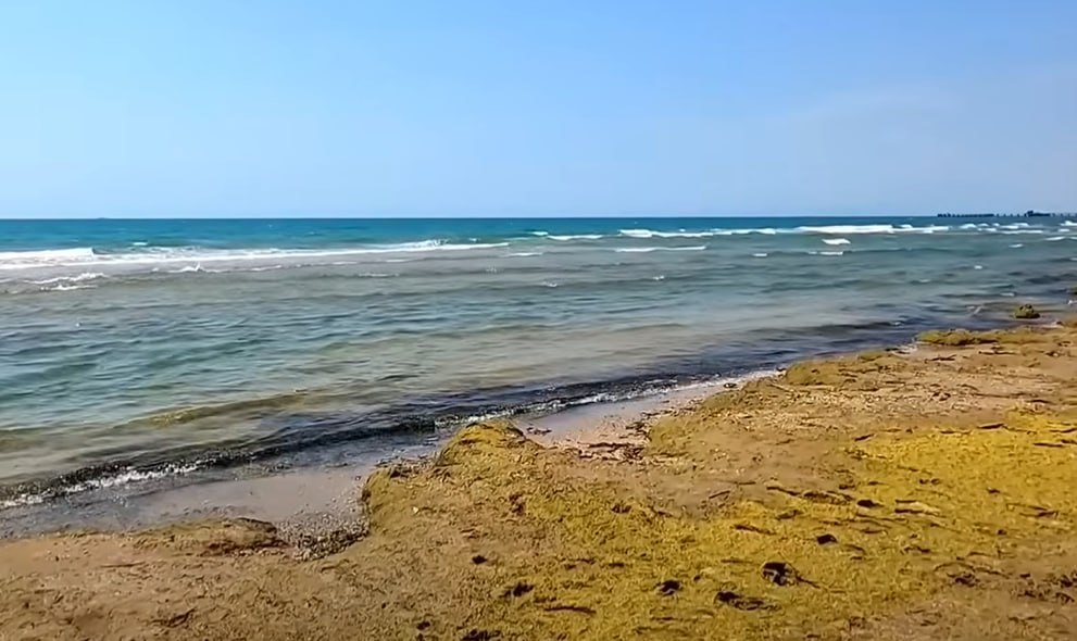 Фото: Prt Scr youtube.com / Sergei Teshaev