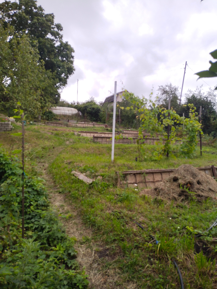 Погодка ничего так.