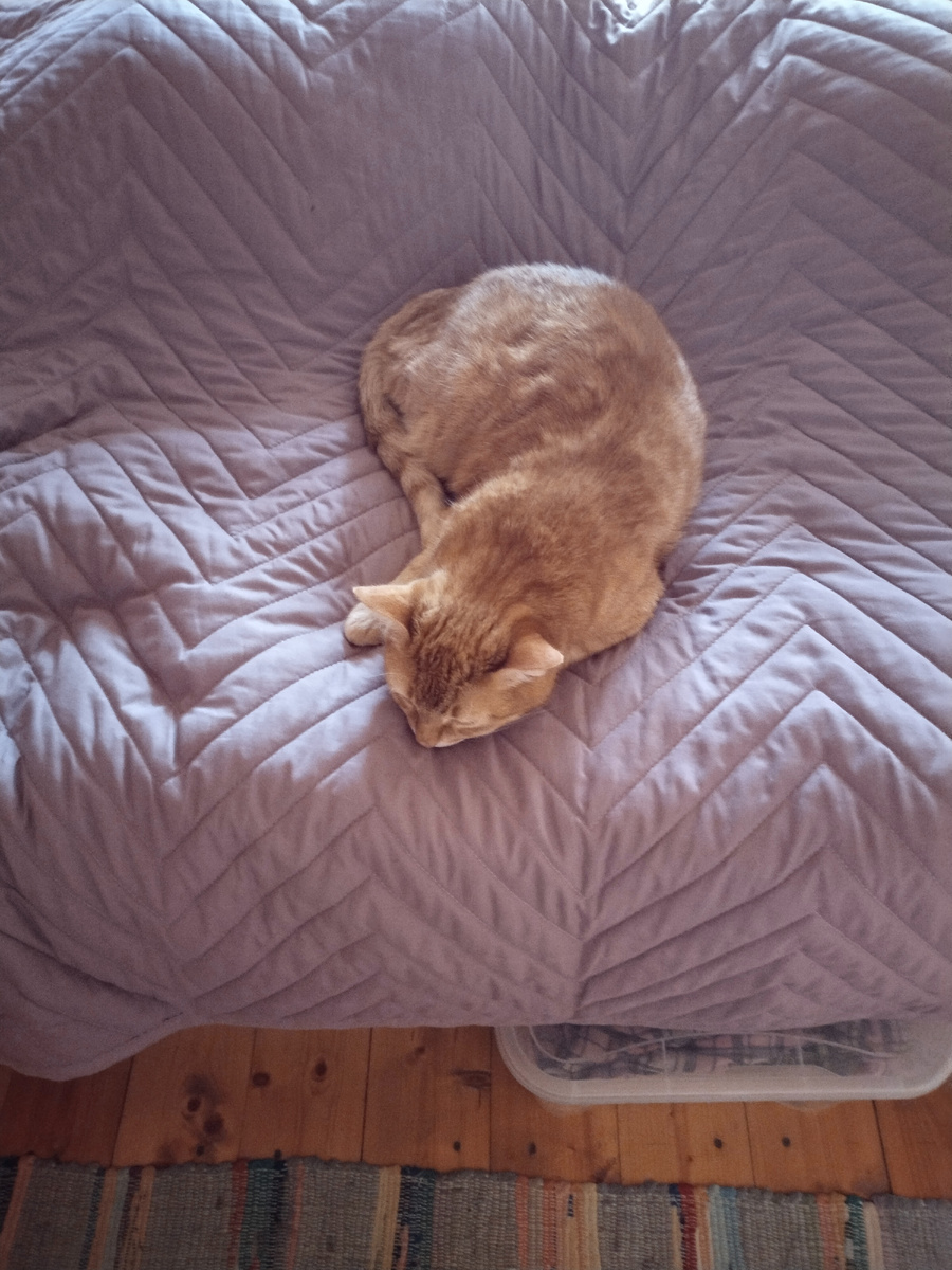 Типа обиделся.