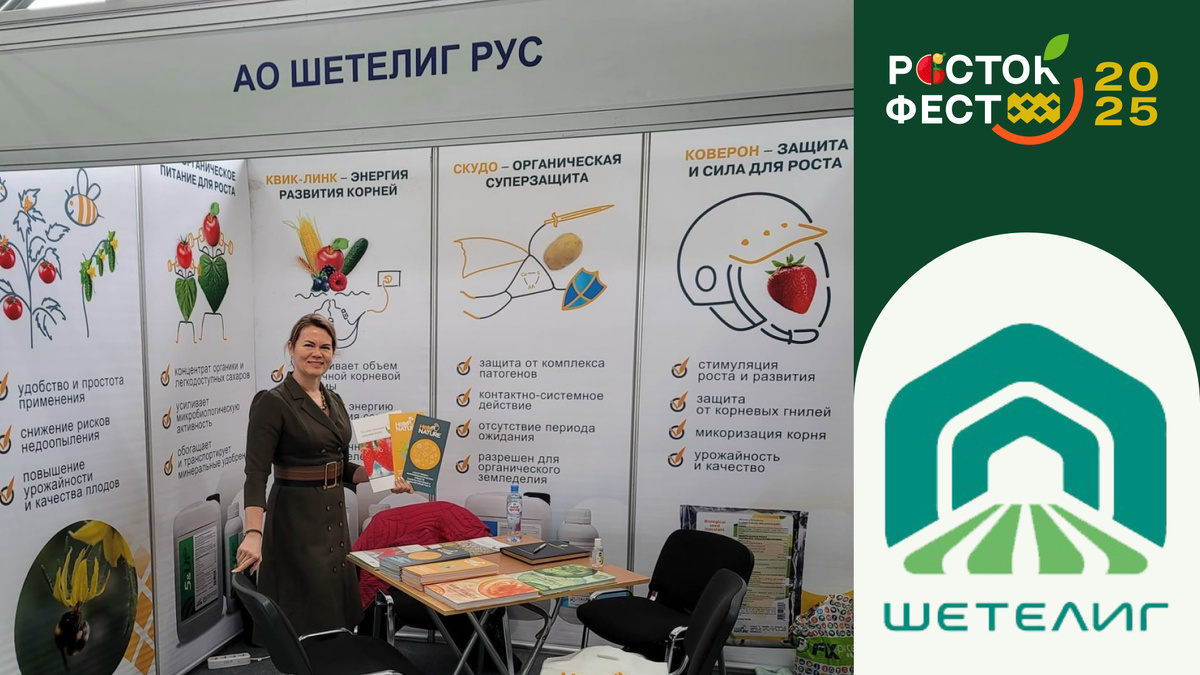 Росток Фест 2025