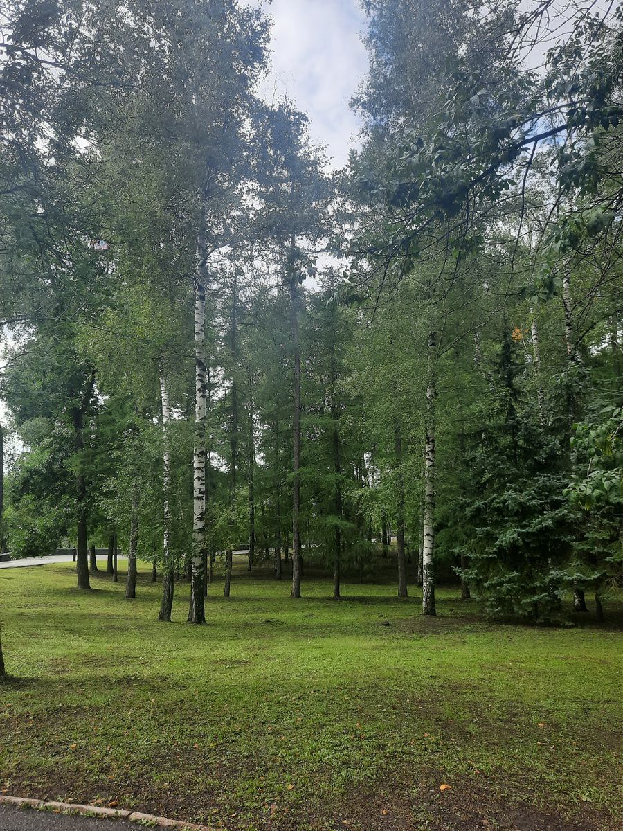 Парк Победы