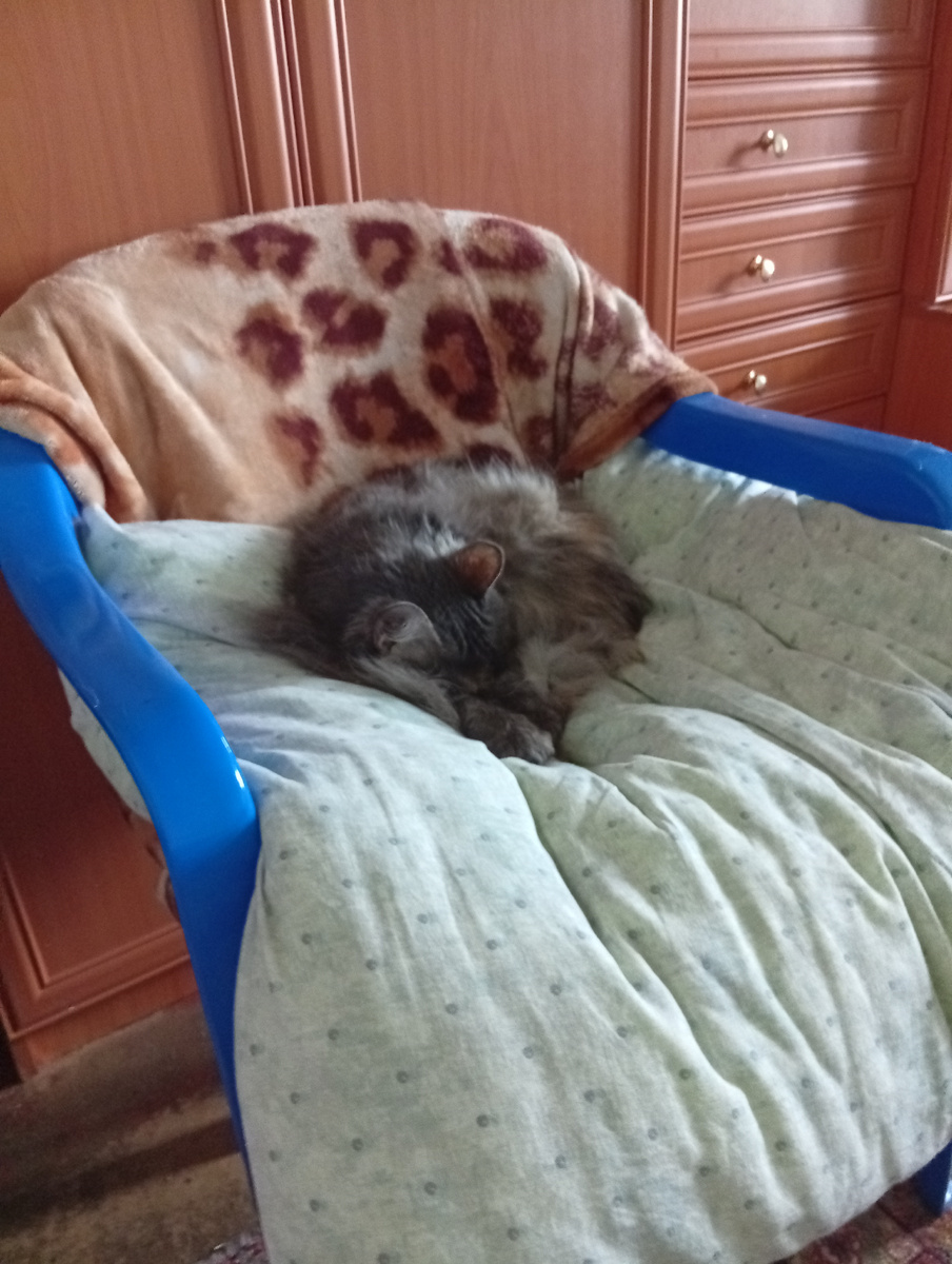 Фото автора статьи. Зайка спит в своем кресле.