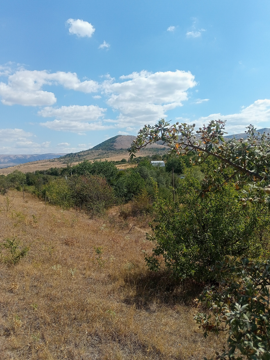 Фото автора.