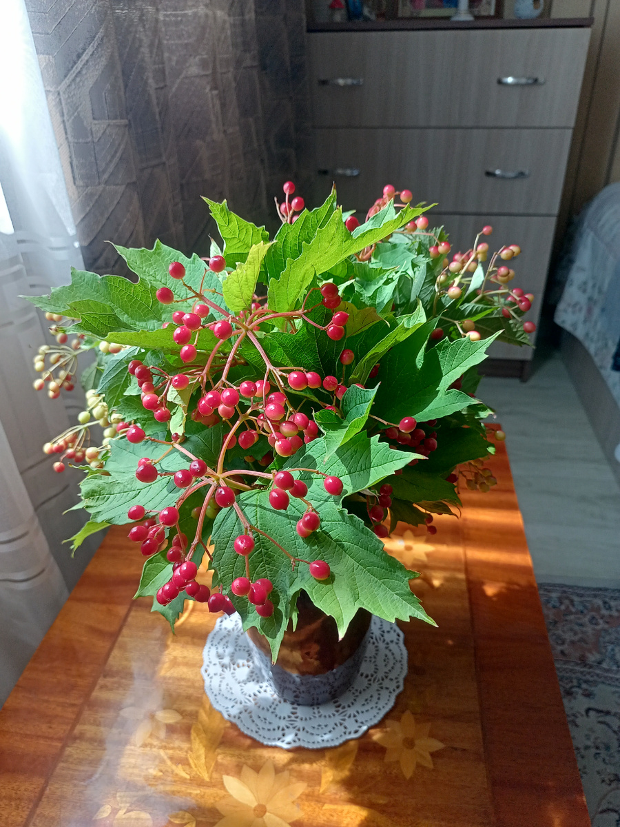 Фото автора.