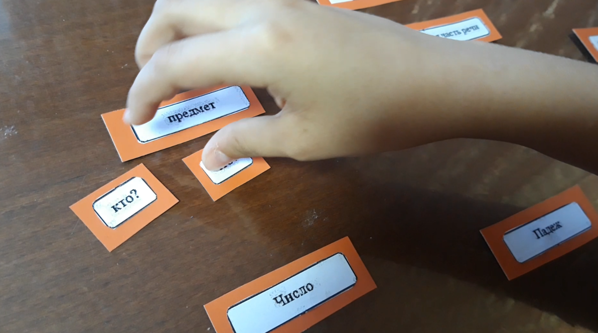 Фото автора Соня повторяет признаки существительного