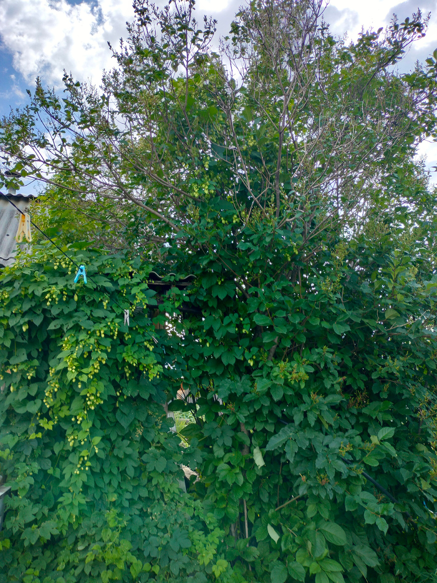 Фото автора