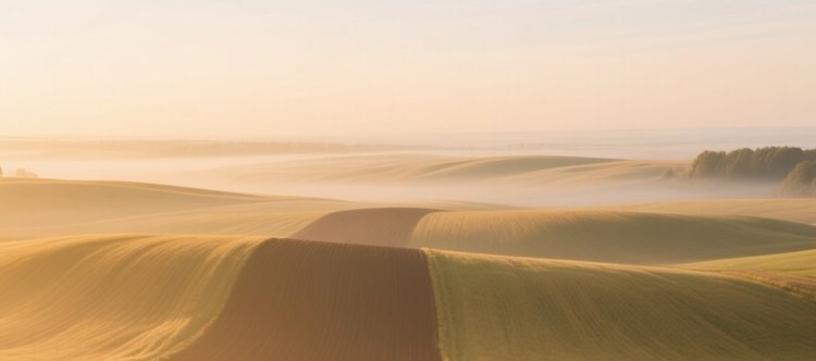    Фото: Медведева Анна, AgroXXI.ru