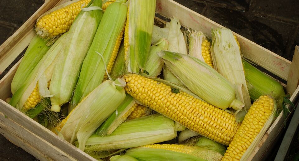    Медиасток.рф