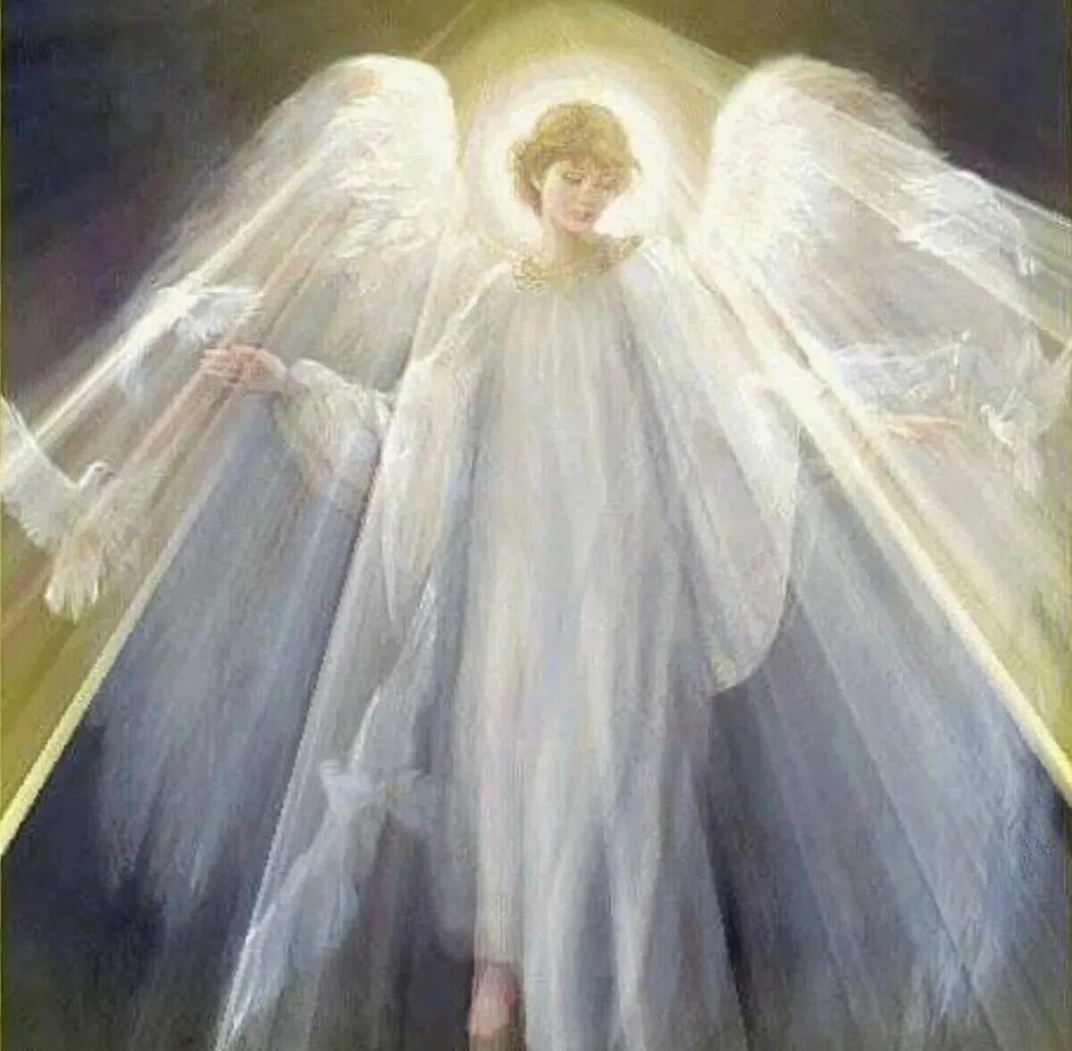 Картинка из интернета для иллюстрации