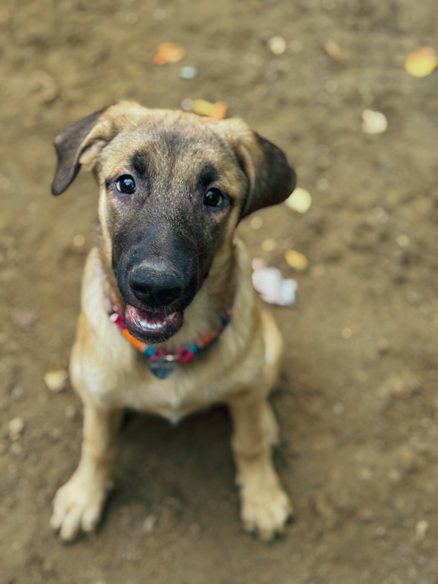 Душа! Приходи скорее за мной!