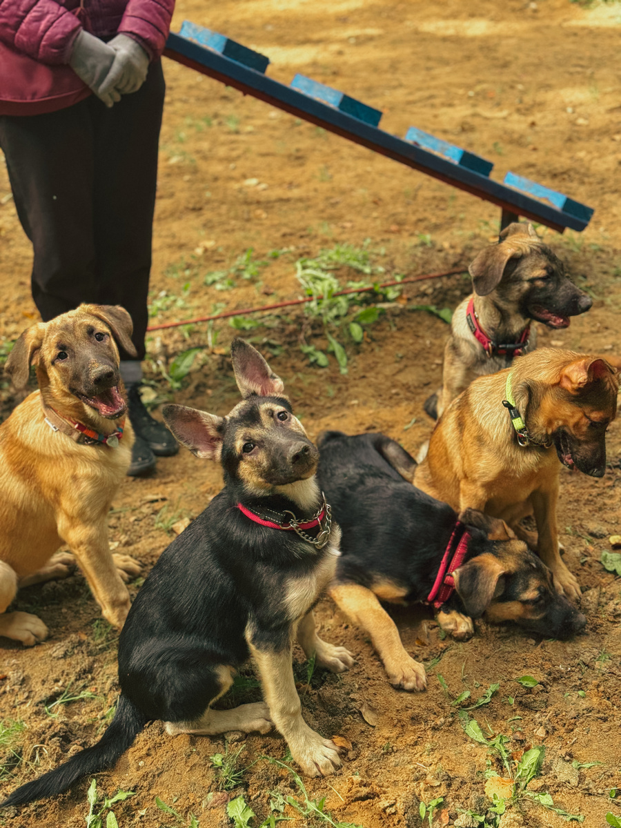 Я первая слева. Далее: Василиса, Нюша, лёлькин и Аришка