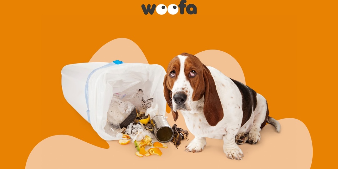 Секреты эффективного наказания — как ругать собаку и не потерять ее доверие