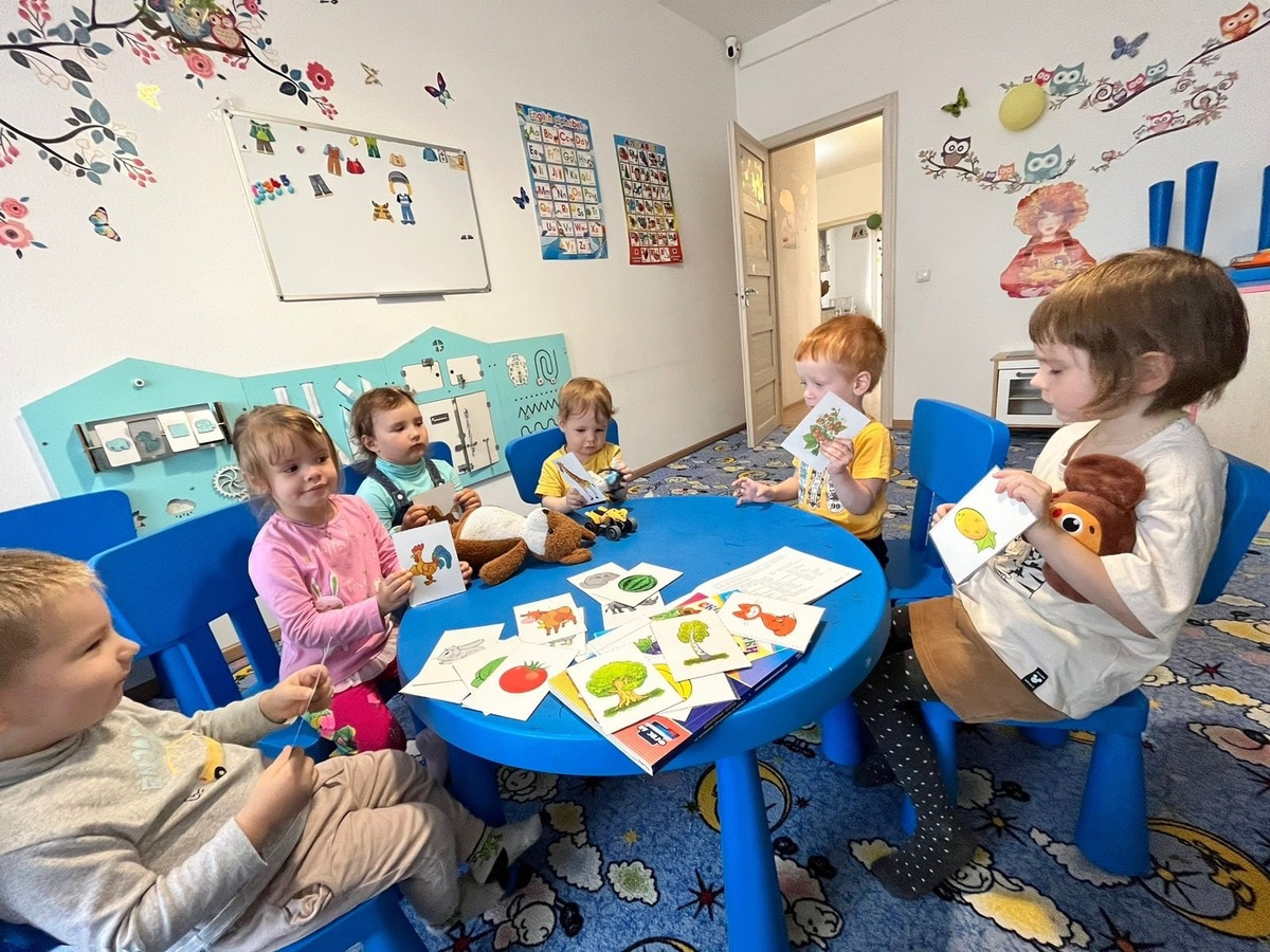 Дидактические игры с картинками в детском саду