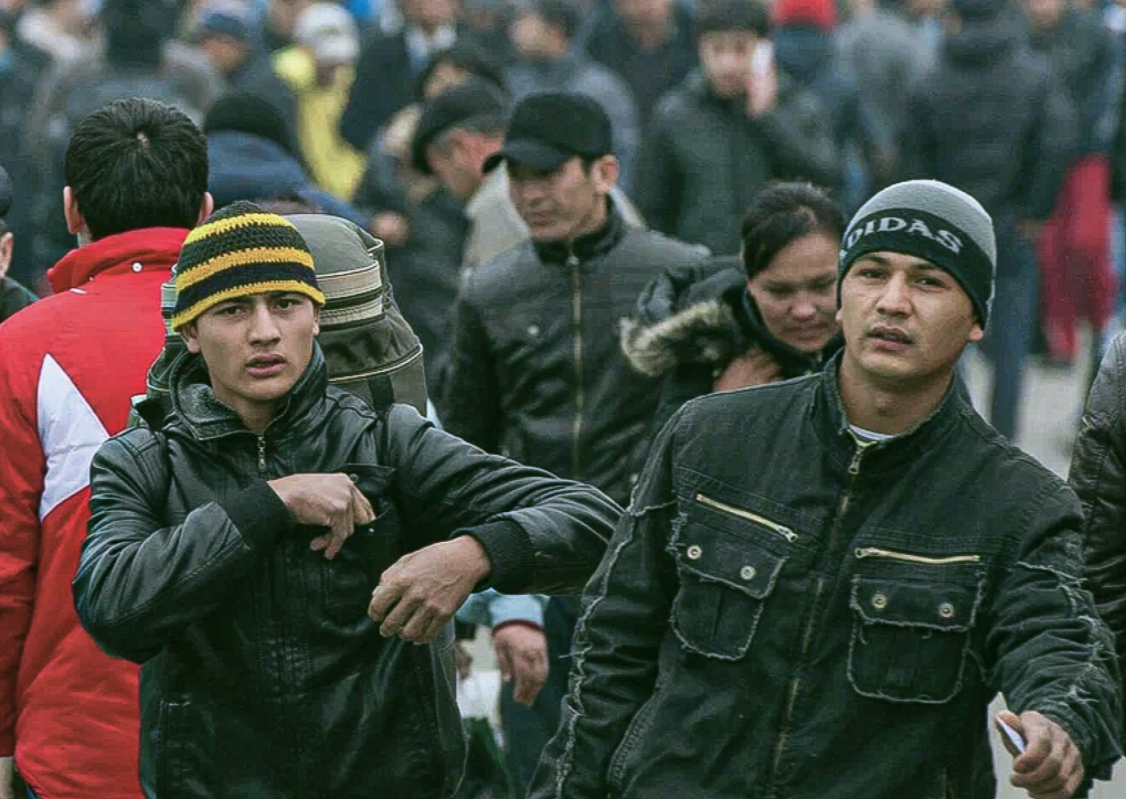 Из открытых источников в интернете.