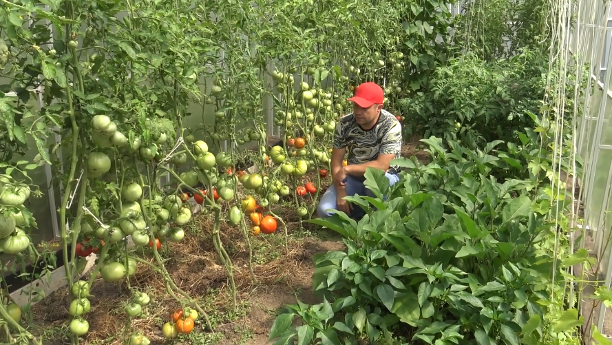 Результат моих испытаний