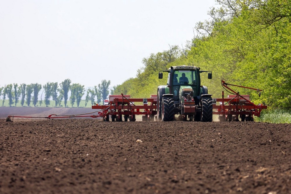    Фото правительства Ростовской области Александр Любименко