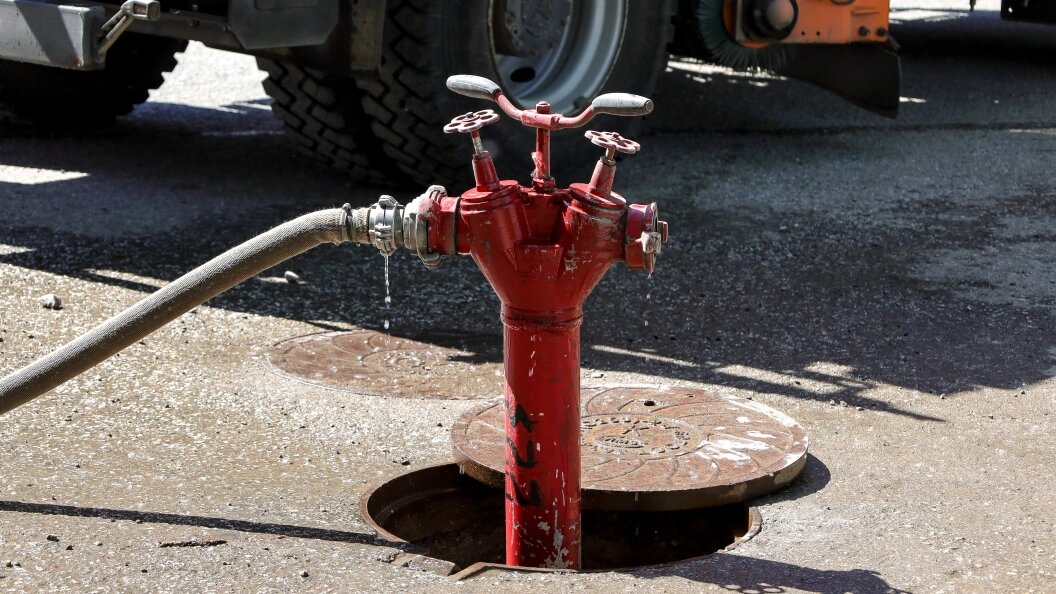    Elena Mayorova/Globallookpress