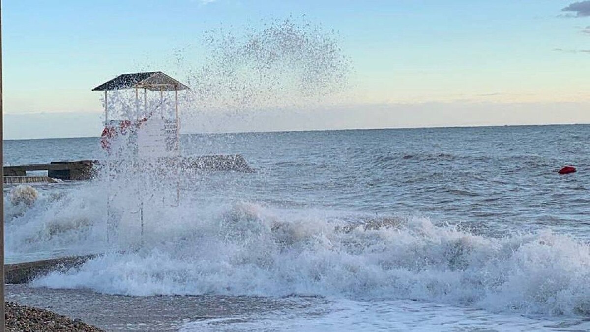    Фото: телеканал «Краснодар»