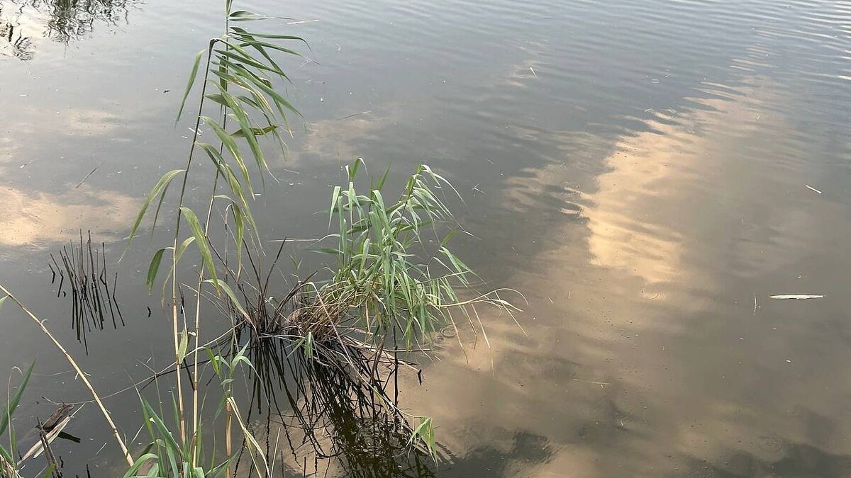    Фото: телеканал «Краснодар»