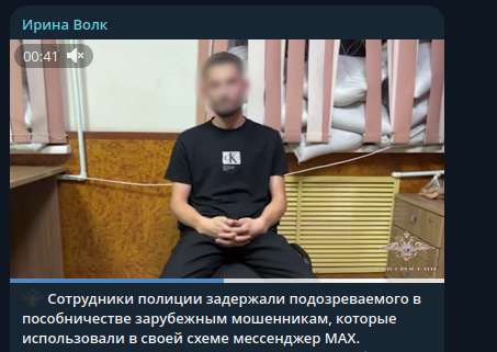    Скриншот: Telegram/"Ирина Волк"