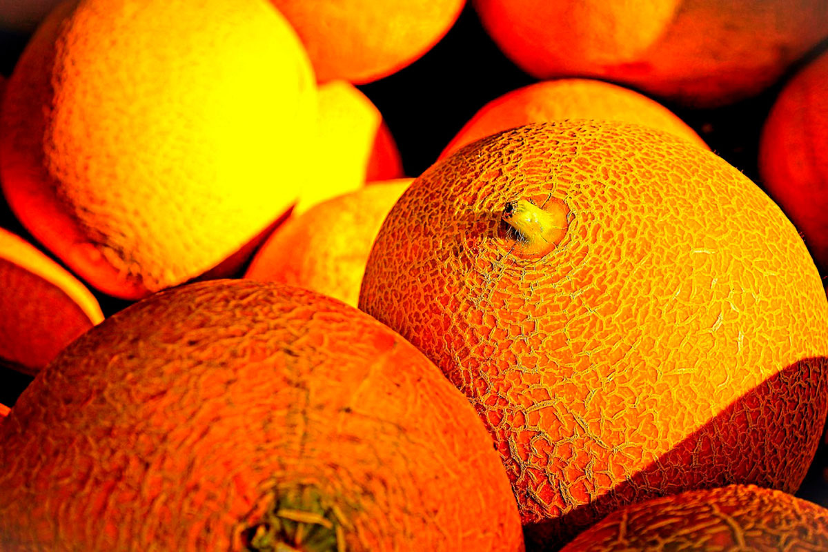    Фото: Tho-Ge / Pixabay.com