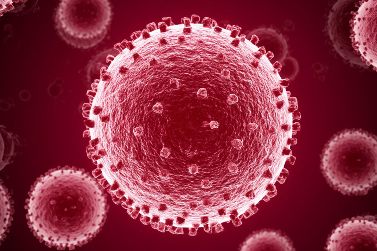    Фото: Сгенерировано ИИ, источник: shedevrum.ai