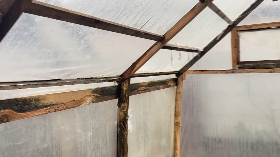 Обрабатываю теплицу осенью по совету агронома с 40-летним стажем. Патогены больше не выживают зимой