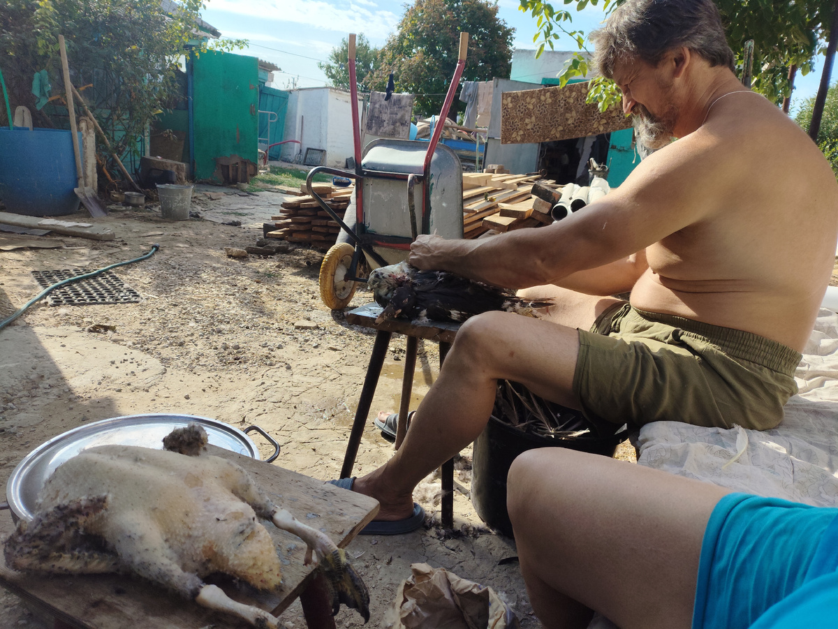 Сидим, дружно щипаем.