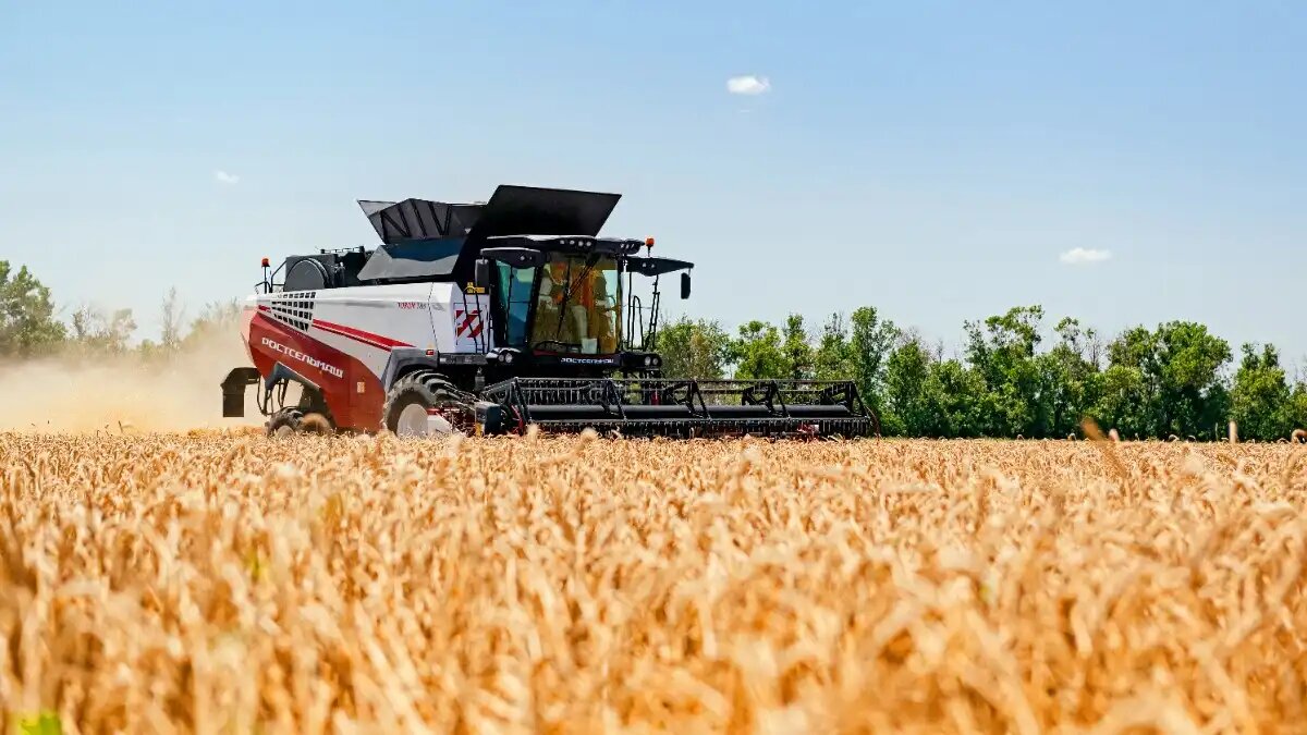 Фото: rostselmash.com / Ростсельмаш
Зерноуборочный комбайн TORUM 785 в работе в поле